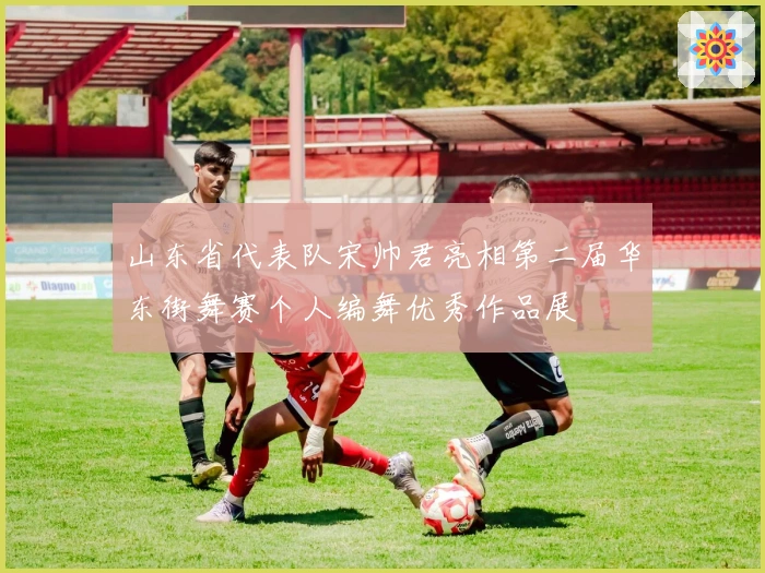 山东省代表队宋帅君亮相第二届华东街舞赛个人编舞优秀作品展