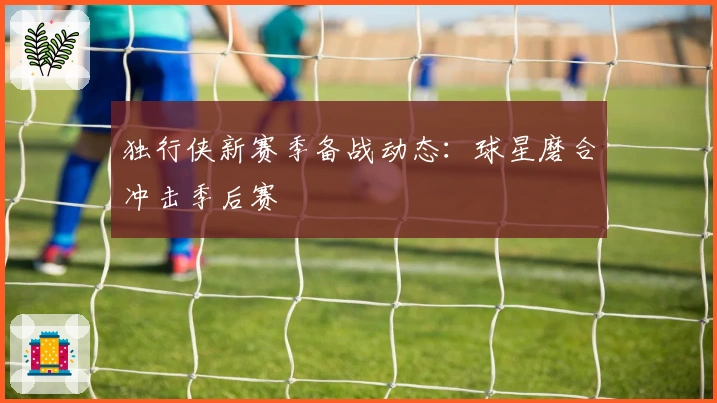 独行侠新赛季备战动态：球星磨合冲击季后赛