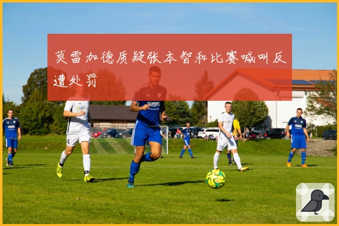 莫雷加德质疑张本智和比赛喊叫反遭处罚